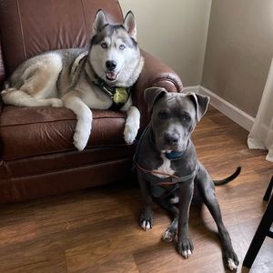 Meet your Posher, Angela